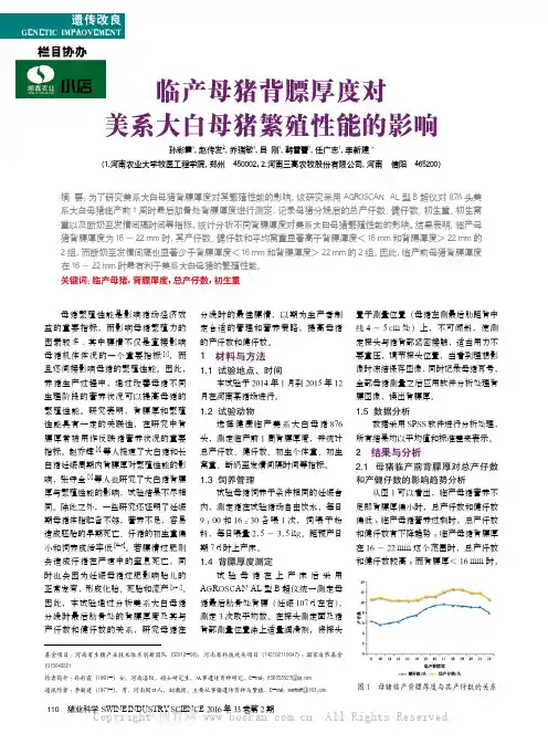 临产母猪背膘厚度对美系大白母猪繁殖性能的影响