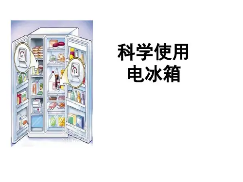 科学使用电冰箱ppt.