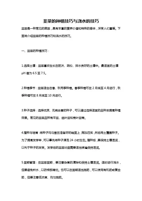 韭菜的种植技巧与浇水的技巧