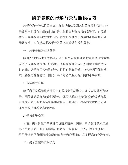 鸽子养殖的市场前景与赚钱技巧