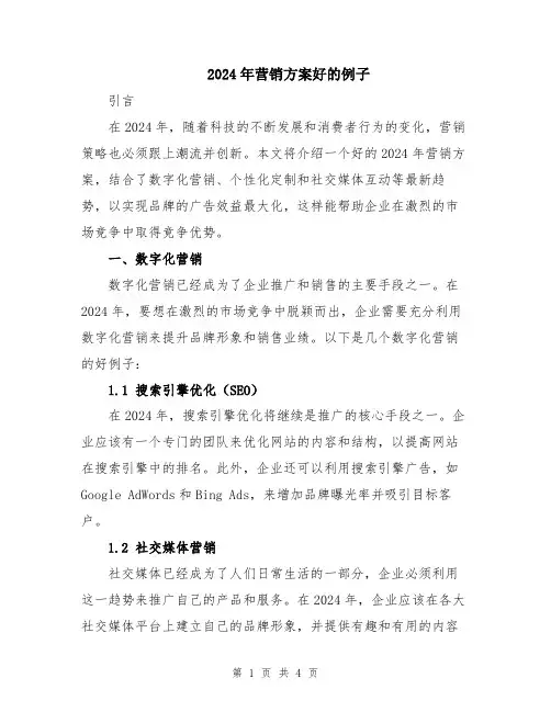 2024年营销方案好的例子