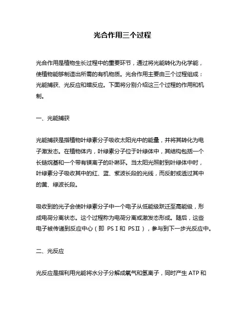 光合作用三个过程