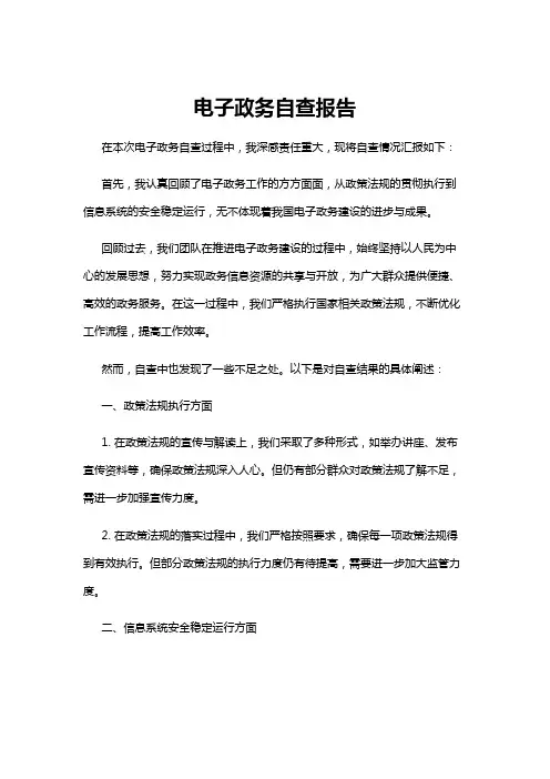 【自查报告】电子政务自查报告