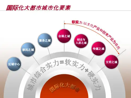 法国香榭丽舍大街案例研究