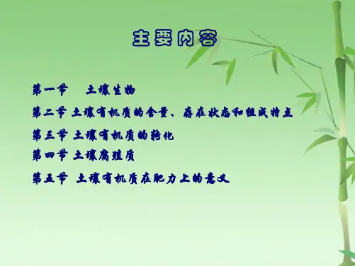 土壤生物与土壤有机质(共66张PPT)