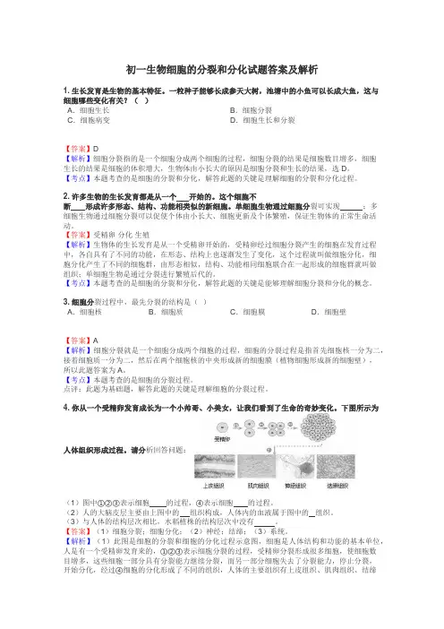 初一生物细胞的分裂和分化试题答案及解析
