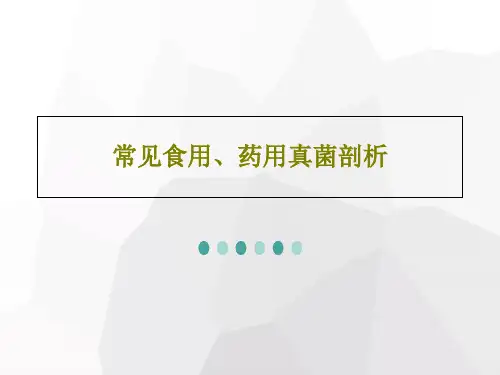常见食用、药用真菌剖析PPT文档111页