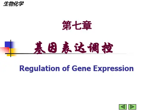 生物化学：基因表达调控