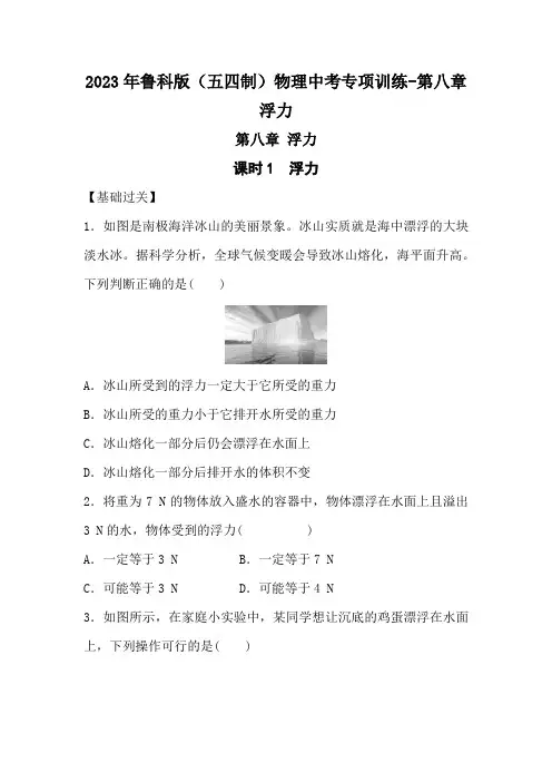 2023年鲁科版(五四制)物理中考专项训练-第八章 浮力