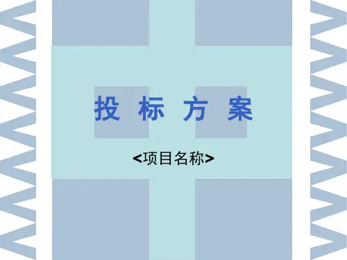 投标方案演示精品PPT课件