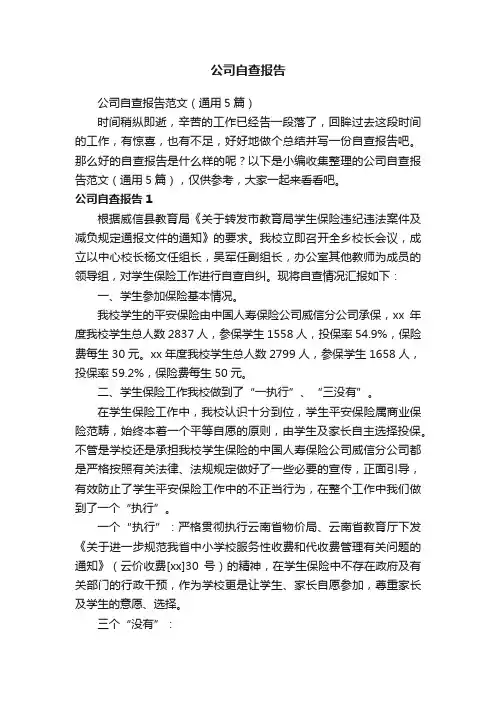 公司自查报告范文（通用5篇）