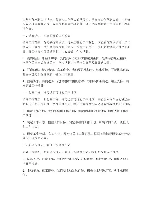 抓好工作落实_心得体会