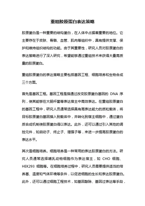重组胶原蛋白表达策略