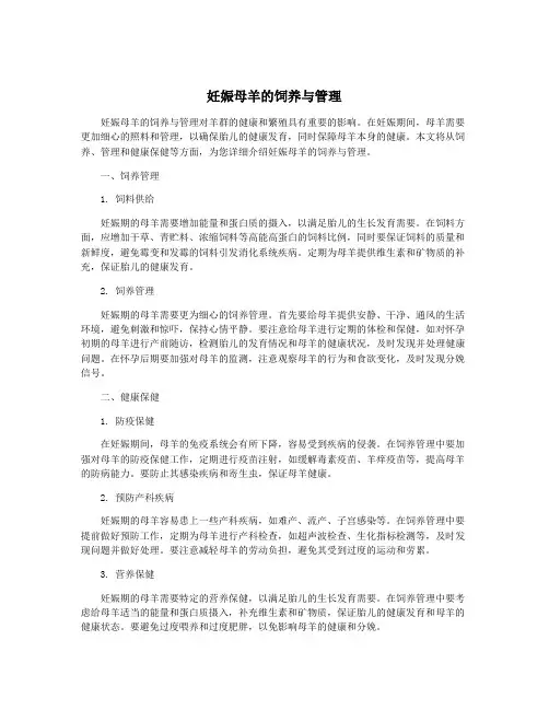 妊娠母羊的饲养与管理