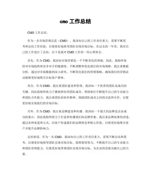 cmo工作总结
