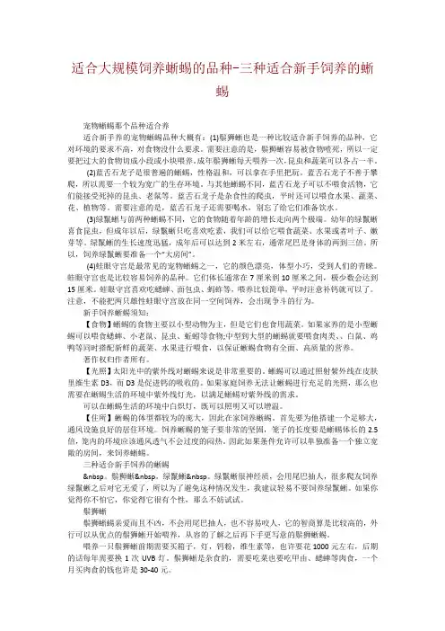 适合大规模饲养蜥蜴的品种-三种适合新手饲养的蜥蜴