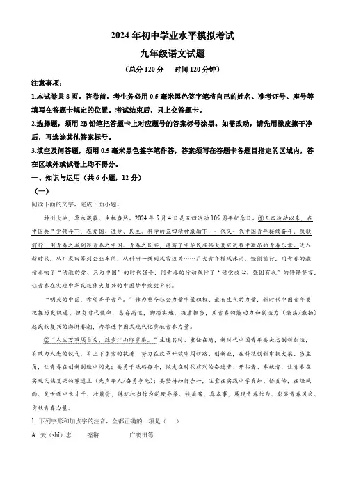 2024年山东省日照市岚山区中考二模语文试题(解析版)