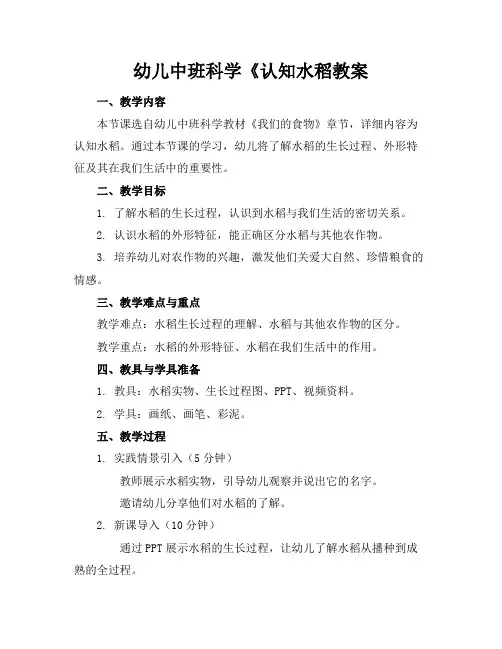 幼儿中班科学《认知水稻教案范例