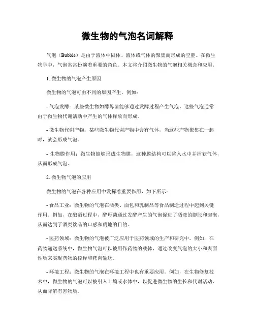 微生物的气泡名词解释