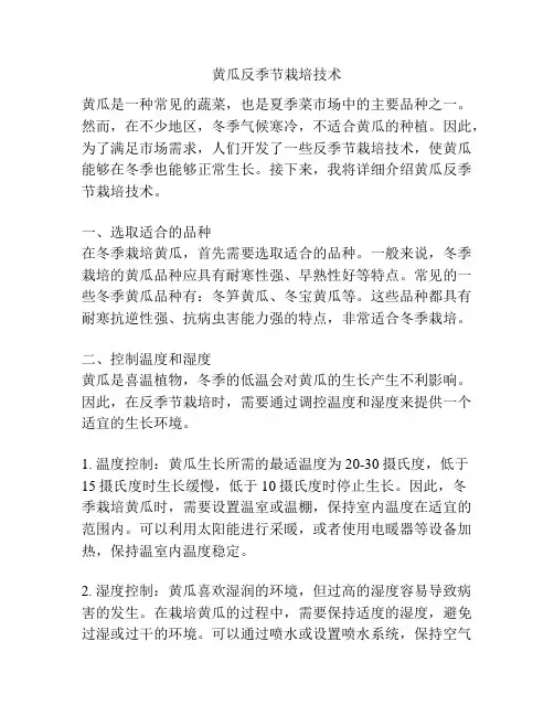 黄瓜反季节栽培技术