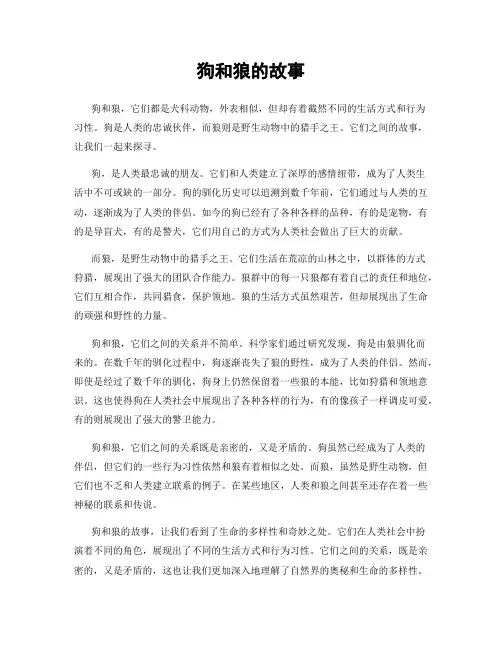 狗和狼的故事