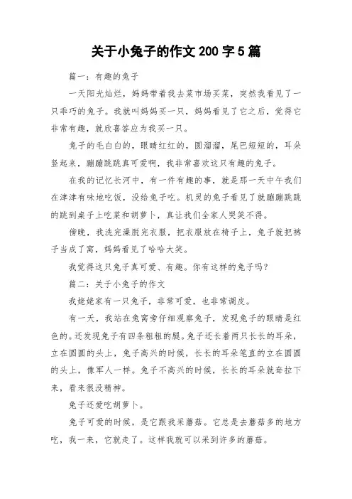 关于小兔子的作文200字5篇_作文