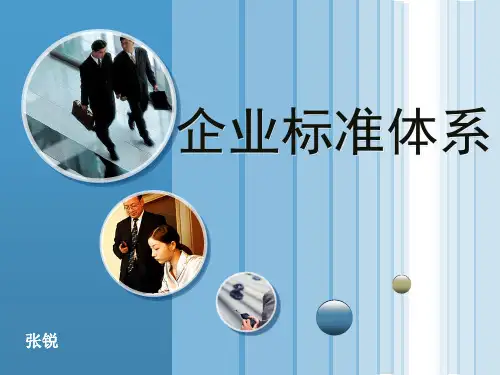 企业标准体系资料.