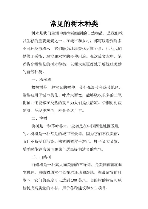常见的树木种类