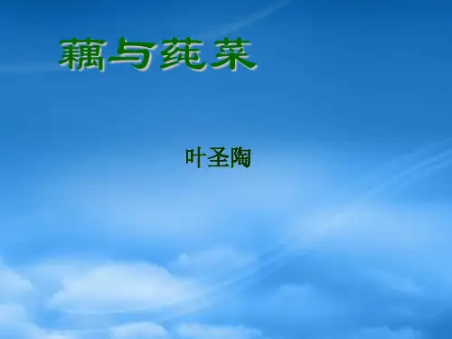 七级语文上册《藕与莼菜》课件 上海五四制(通用)