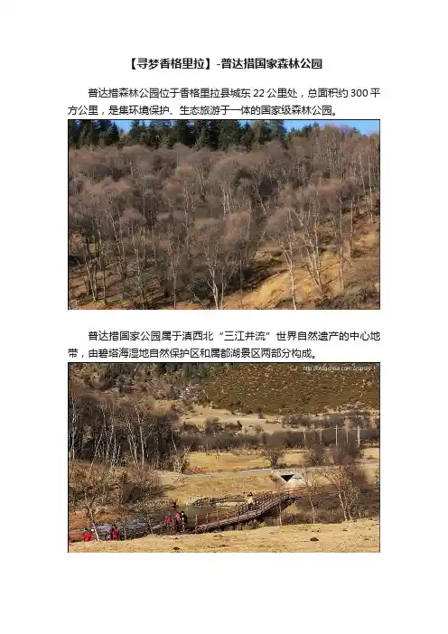 【寻梦香格里拉】-普达措国家森林公园