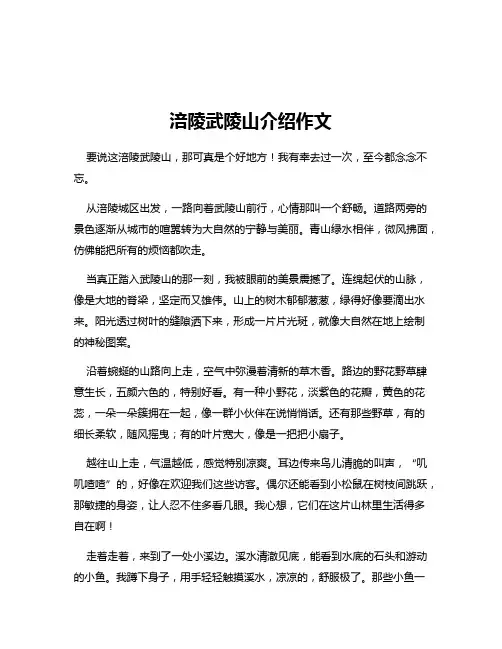 涪陵武陵山介绍作文