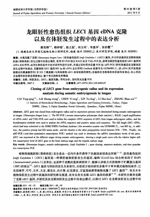 龙眼胚性愈伤组织LEC1基因cDNA克隆以及在体胚发生过程中的表达分析
