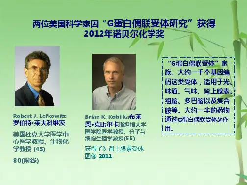 第12章 细胞信号转导(共63张PPT)
