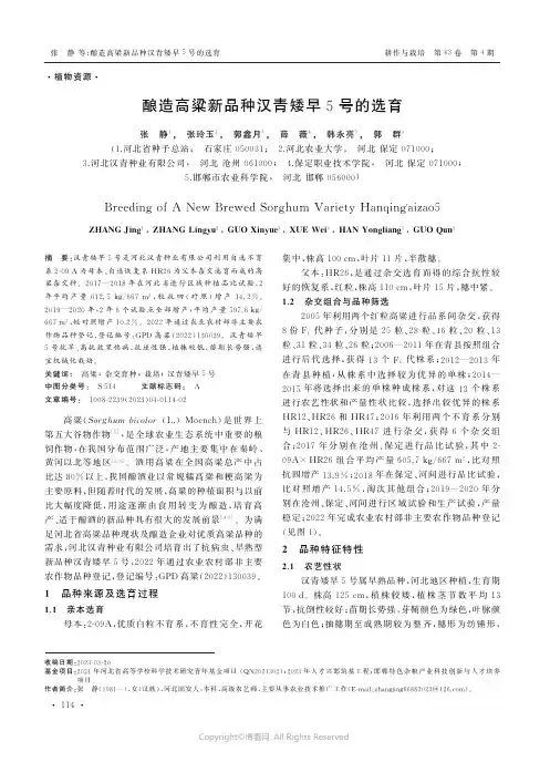 酿造高粱新品种汉青矮早5号的选育