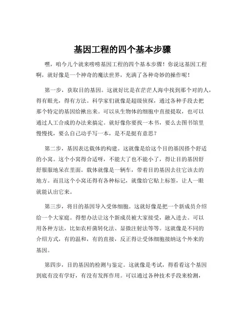 基因工程的四个基本步骤