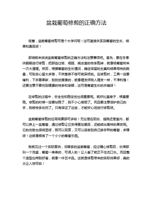 盆栽葡萄修剪的正确方法