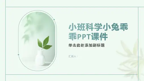 小班科学小兔乖乖ppt课件