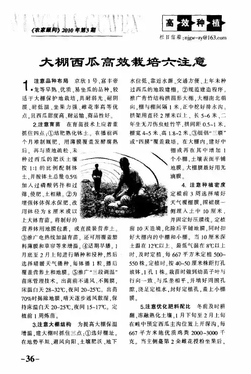 大棚西瓜高效栽培六注意