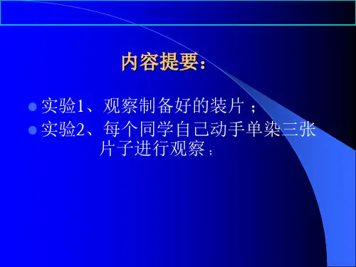 普通光学显微镜的使用和微生物的简单染色