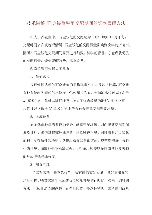 技术讲解-石金钱龟种龟交配期间的饲养管理方法