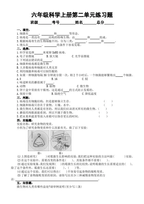 小学科学青岛版六三制六年级上册第二单元《微生物》练习题2(2022秋)(附参考答案)