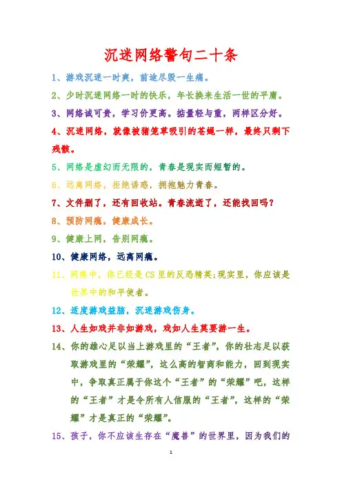沉迷网络警句二十条