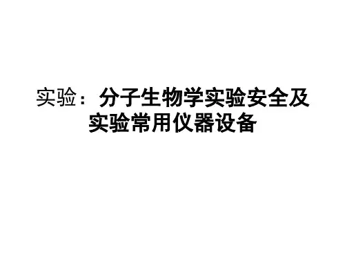 分子生物学实验：安全与仪器使用