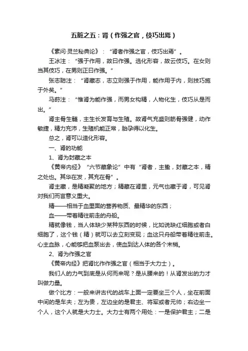 五脏之五：肾（作强之官，伎巧出焉）