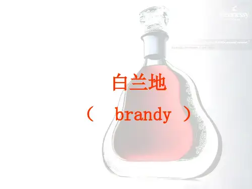 国外名酒(白兰地,威士忌)