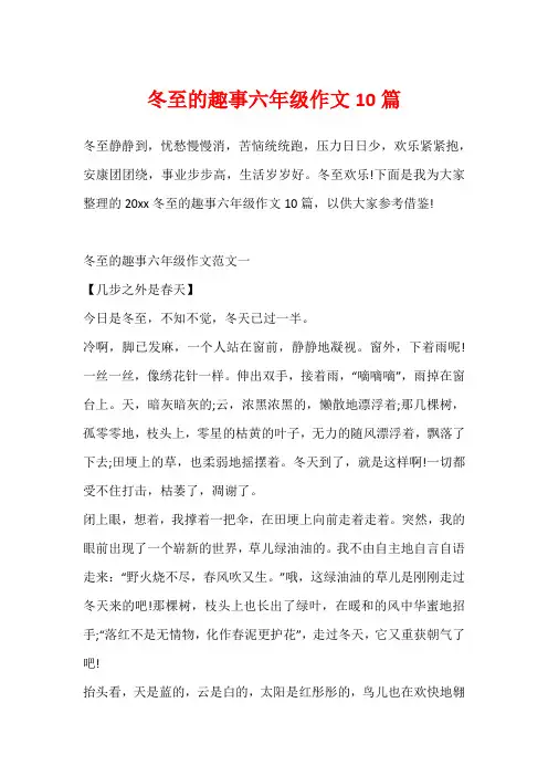 冬至的趣事六年级作文10篇
