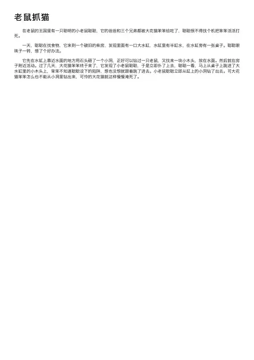 老鼠抓猫——精选推荐