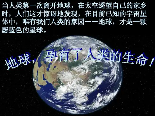 人教版高中生物选修3专题5第一节生态工程的基本原理(共64张PPT)