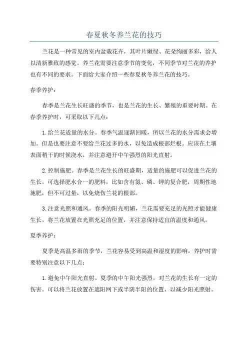 春夏秋冬养兰花的技巧