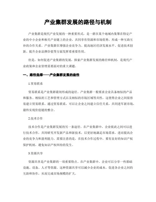 产业集群发展的路径与机制